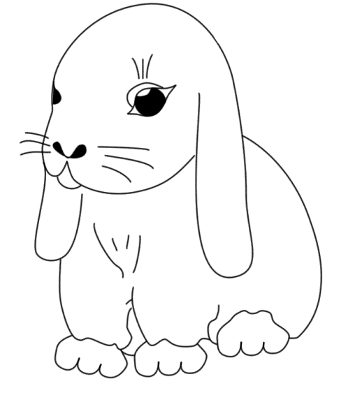 coloriage lapin mignon gratuit à imprimer