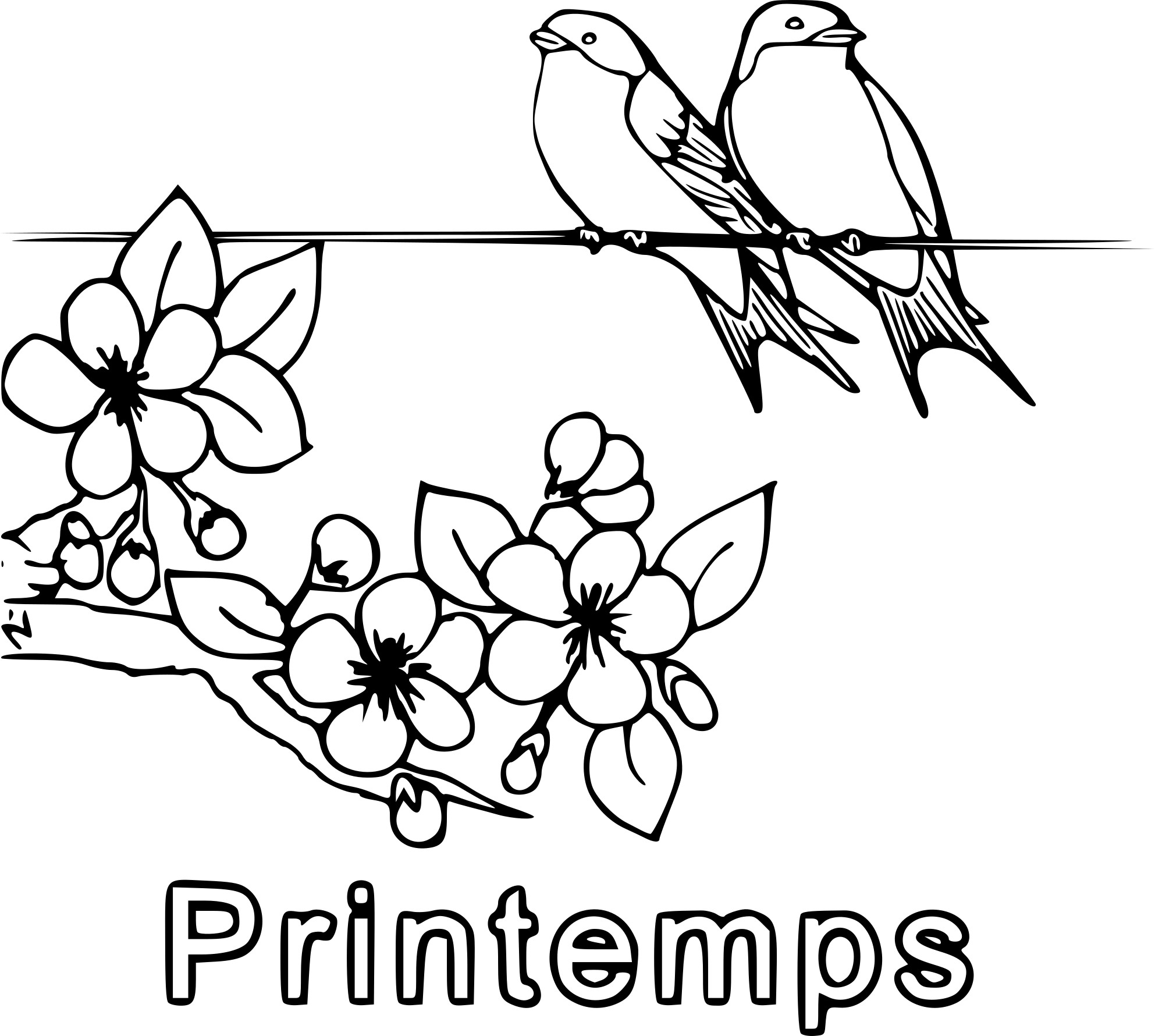 Coloriage Oiseau Printemps A Imprimer