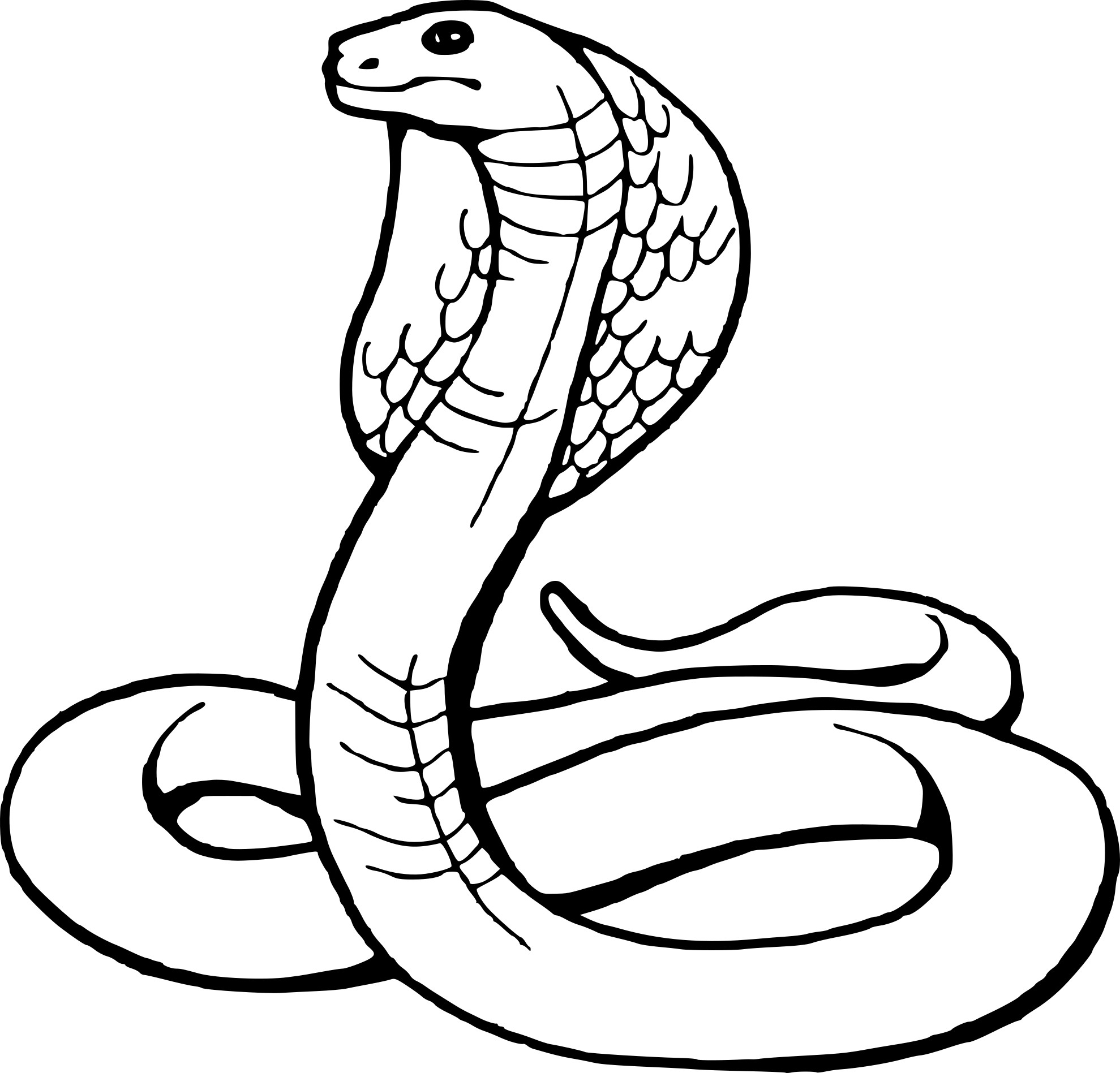 coloriageserpentcobra