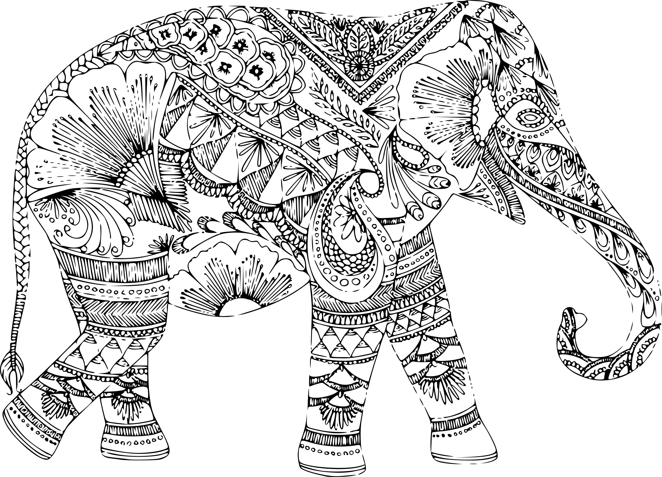 Coloriage anti stress animaux   imprimer