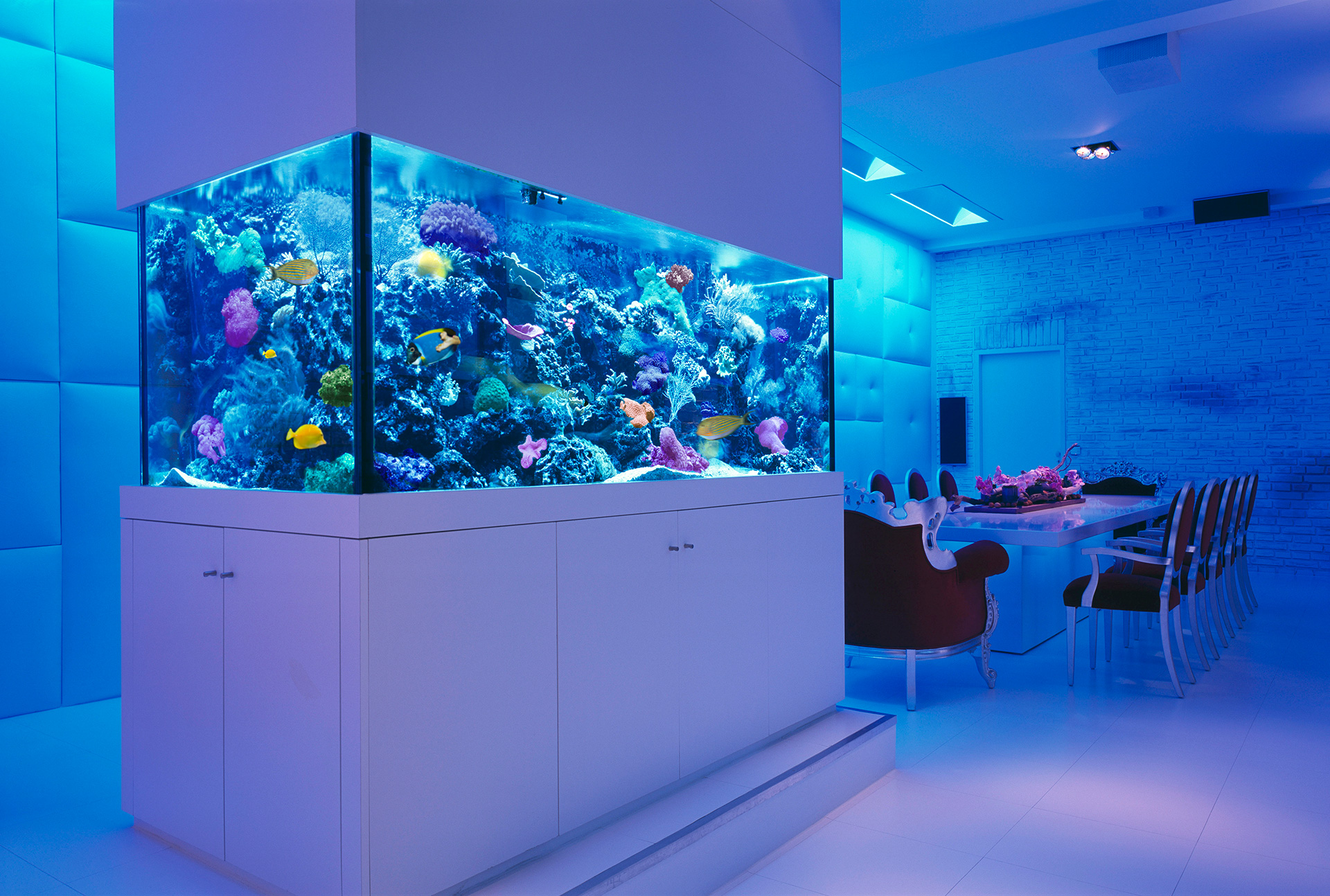 Coloriage Aquarium Imprimer