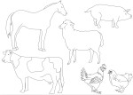 Farm Animals coloring page