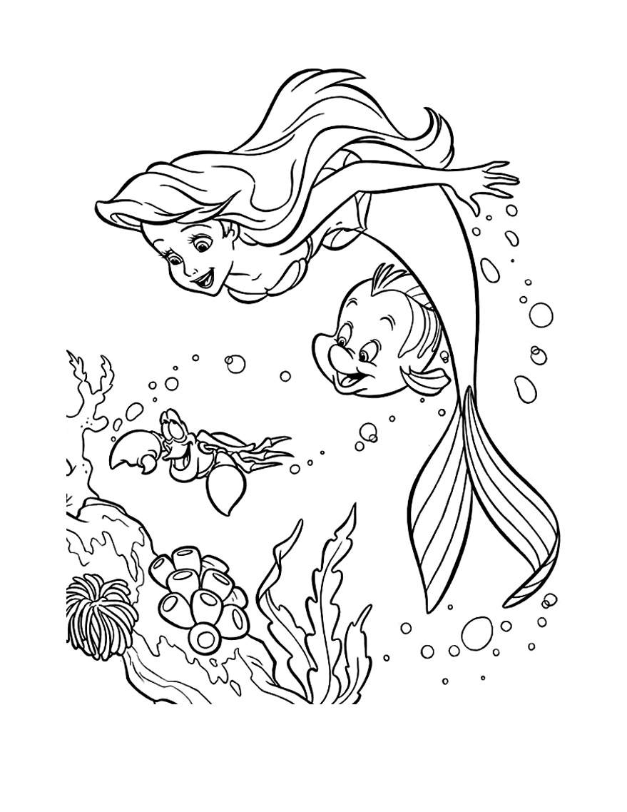 Coloriage Ariel Polochon Sebastien