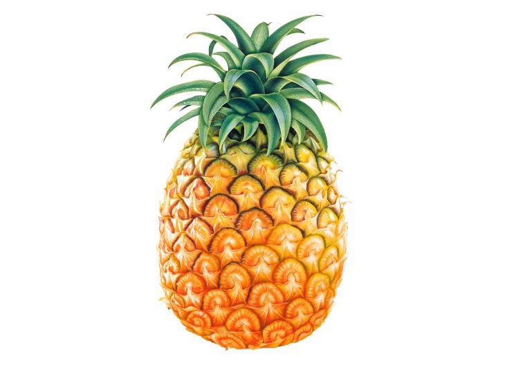 Disegno di Ananas da colorare