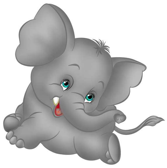 Bebe Elephant