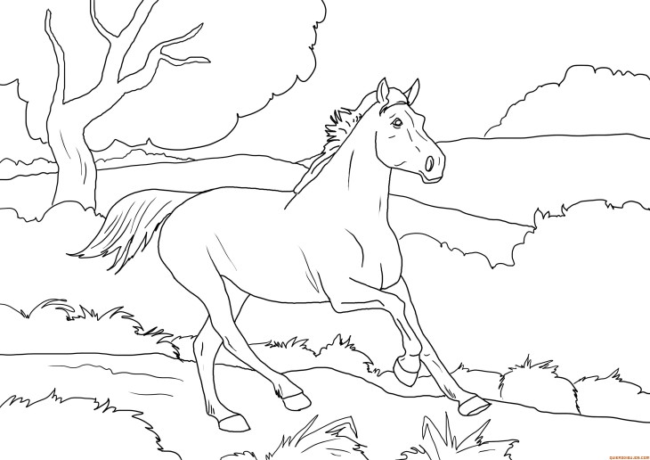 Coloriage cheval au galop