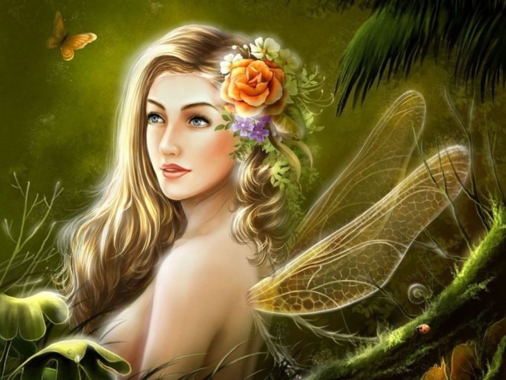 Beautiful Fairy