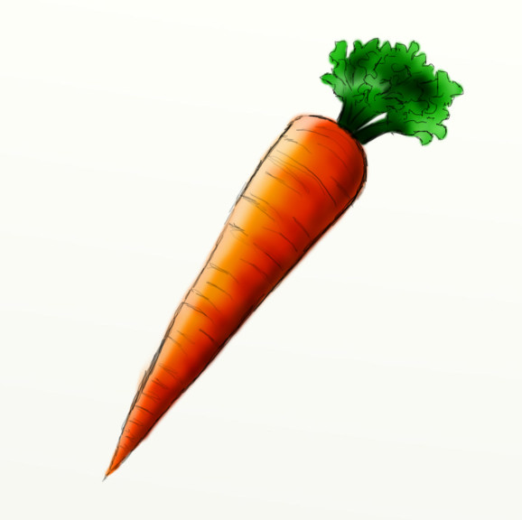 Carrot