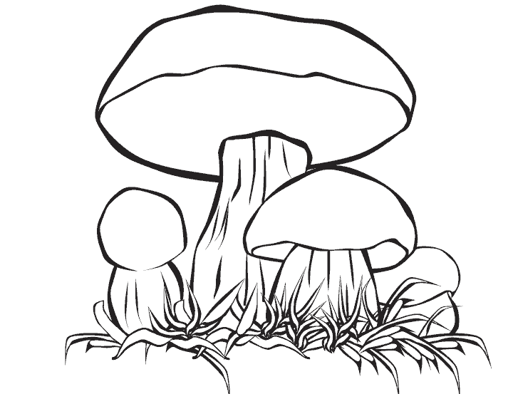 Mushroom coloring page