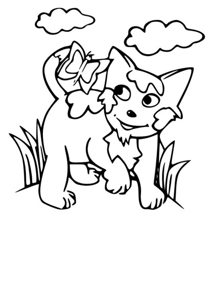 Coloriage chat nature
