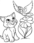 Coloriage chat oiseau