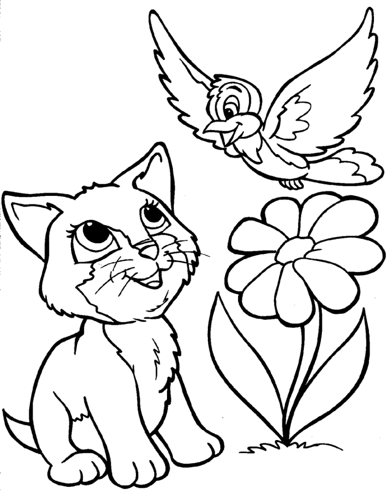 Cat And Bird coloring page