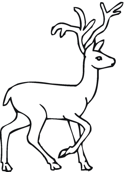 Deer coloring page 2