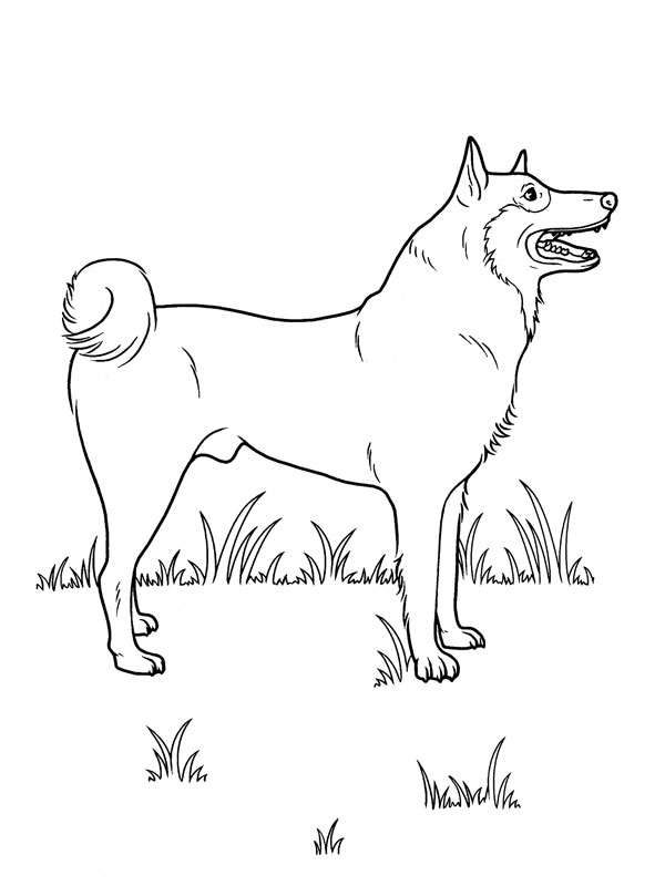 Happy Dog coloring page