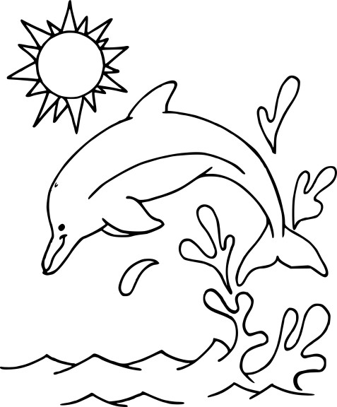 Free Dolphin coloring page