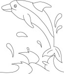 Easy Dolphin coloring page