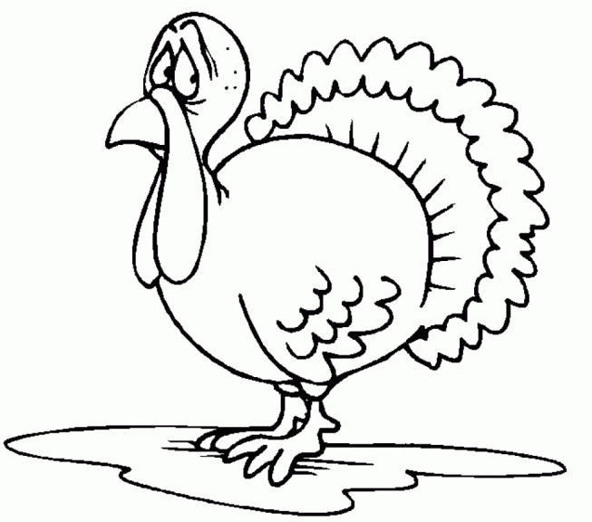 Turkey coloring page 2