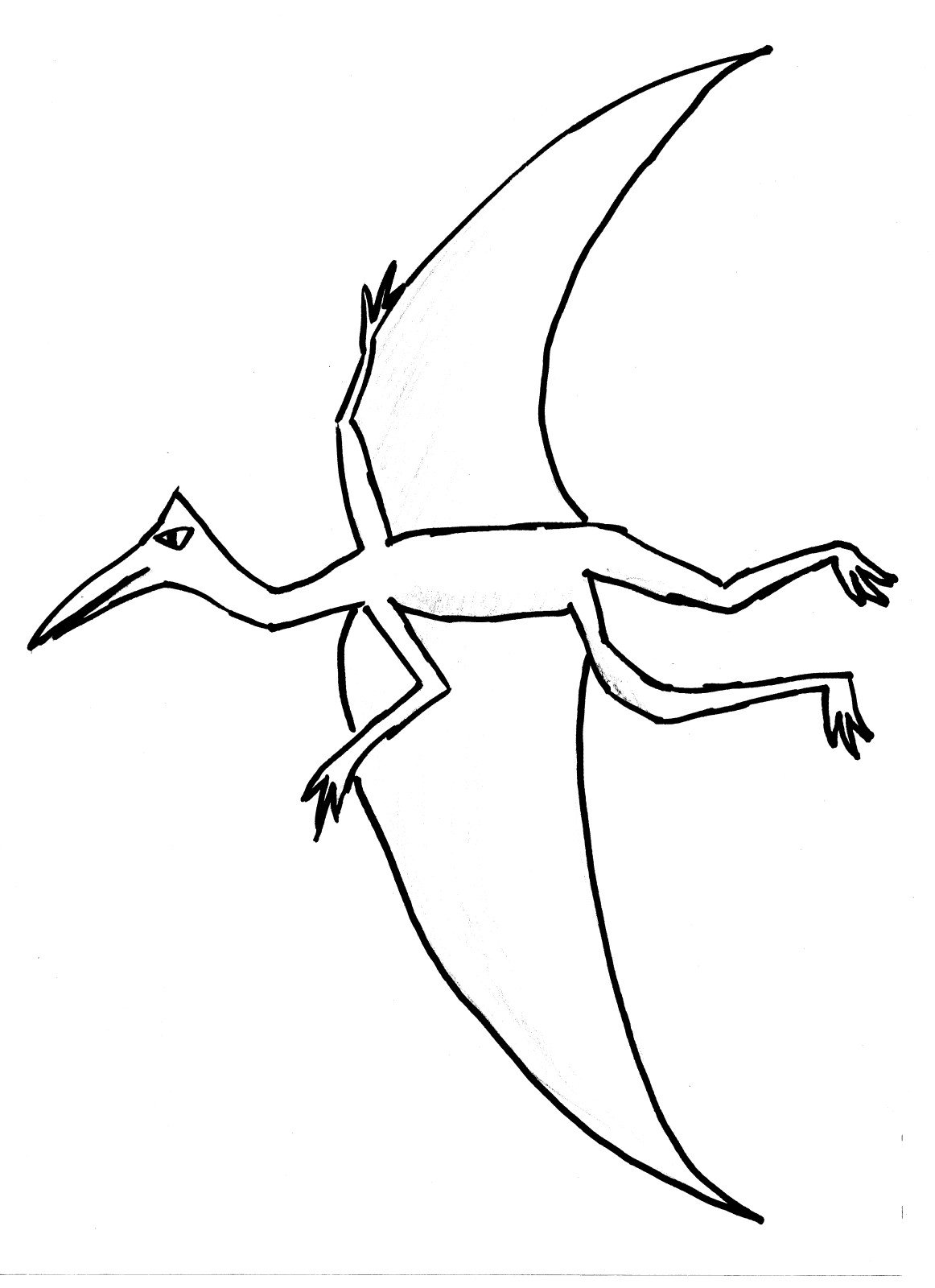 Disegno di Dinosauro volante da colorare