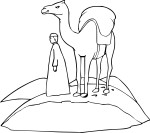 Desert Camel coloring page