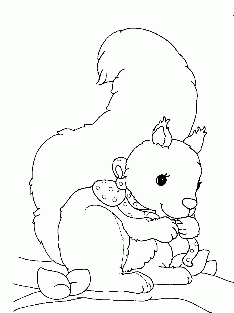 Cute Squirrel coloring page