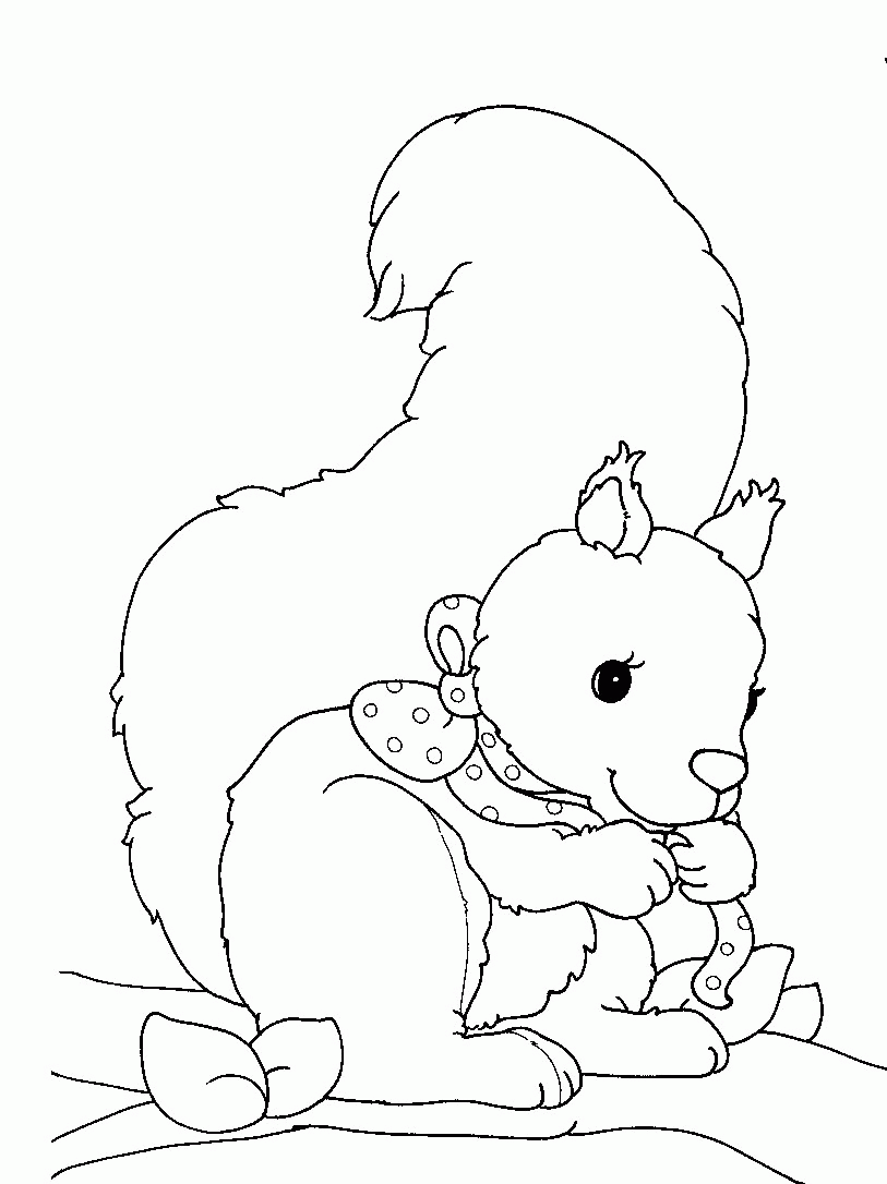 Coloriage ecureuil mignon