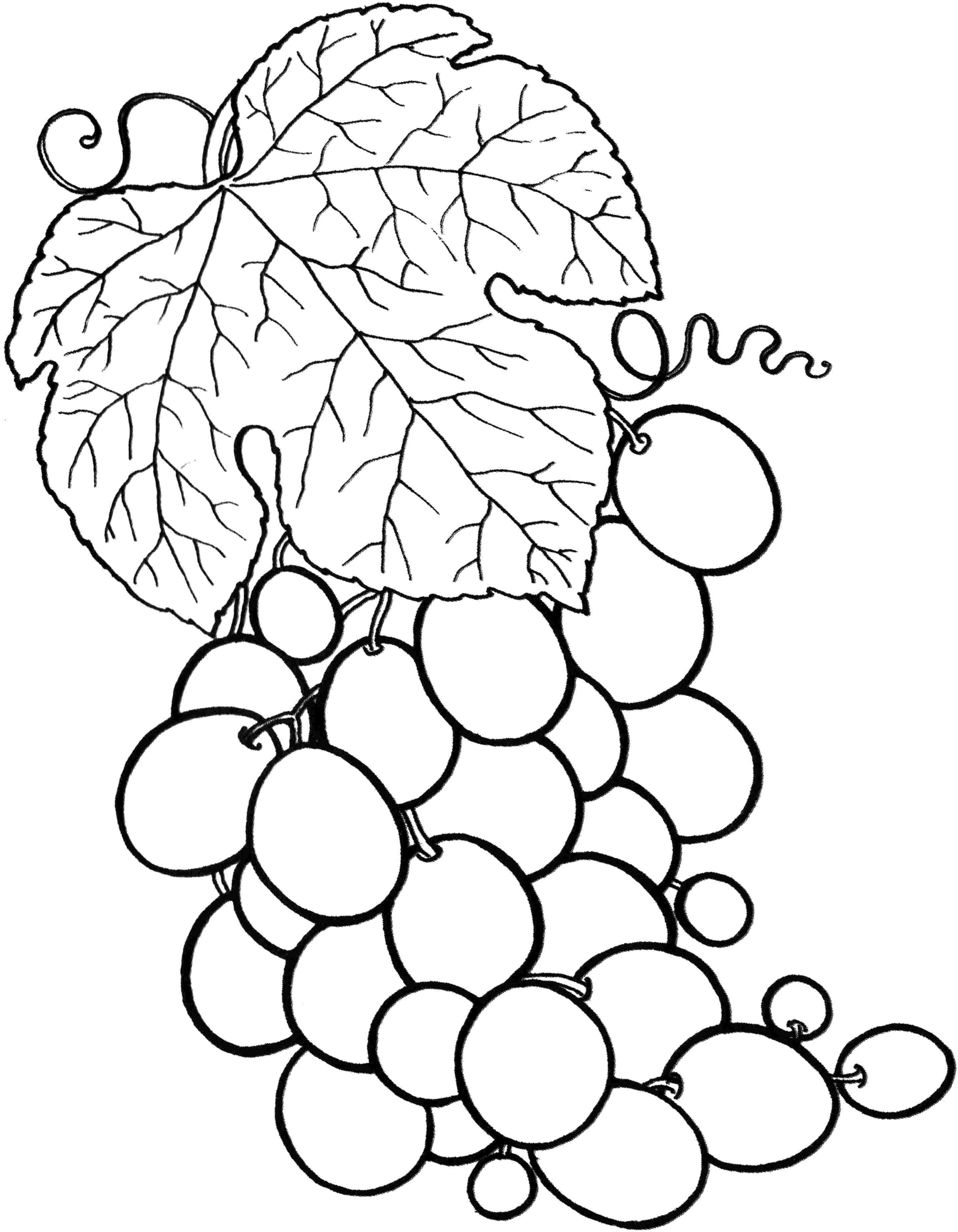 Bunch Of Grapes coloring page