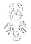 Free Lobster coloring page