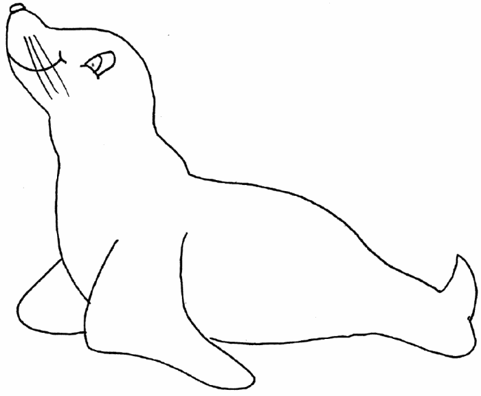 Free Seal coloring page