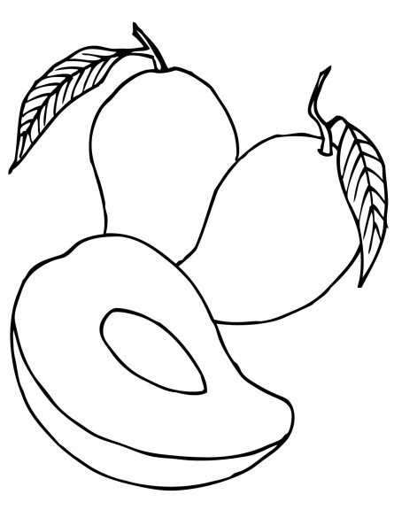 Pear Fruit coloring page