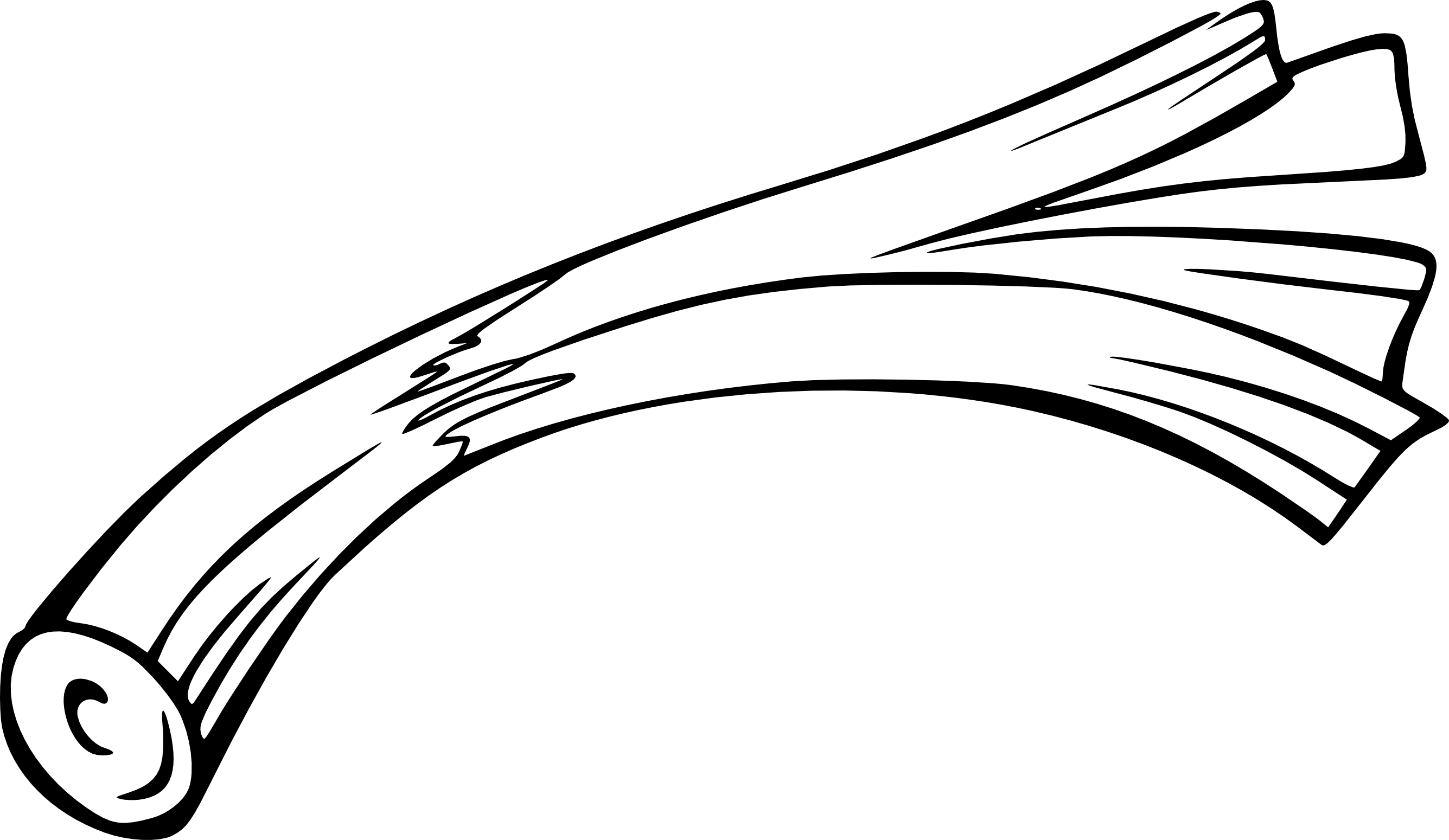 Leek coloring page