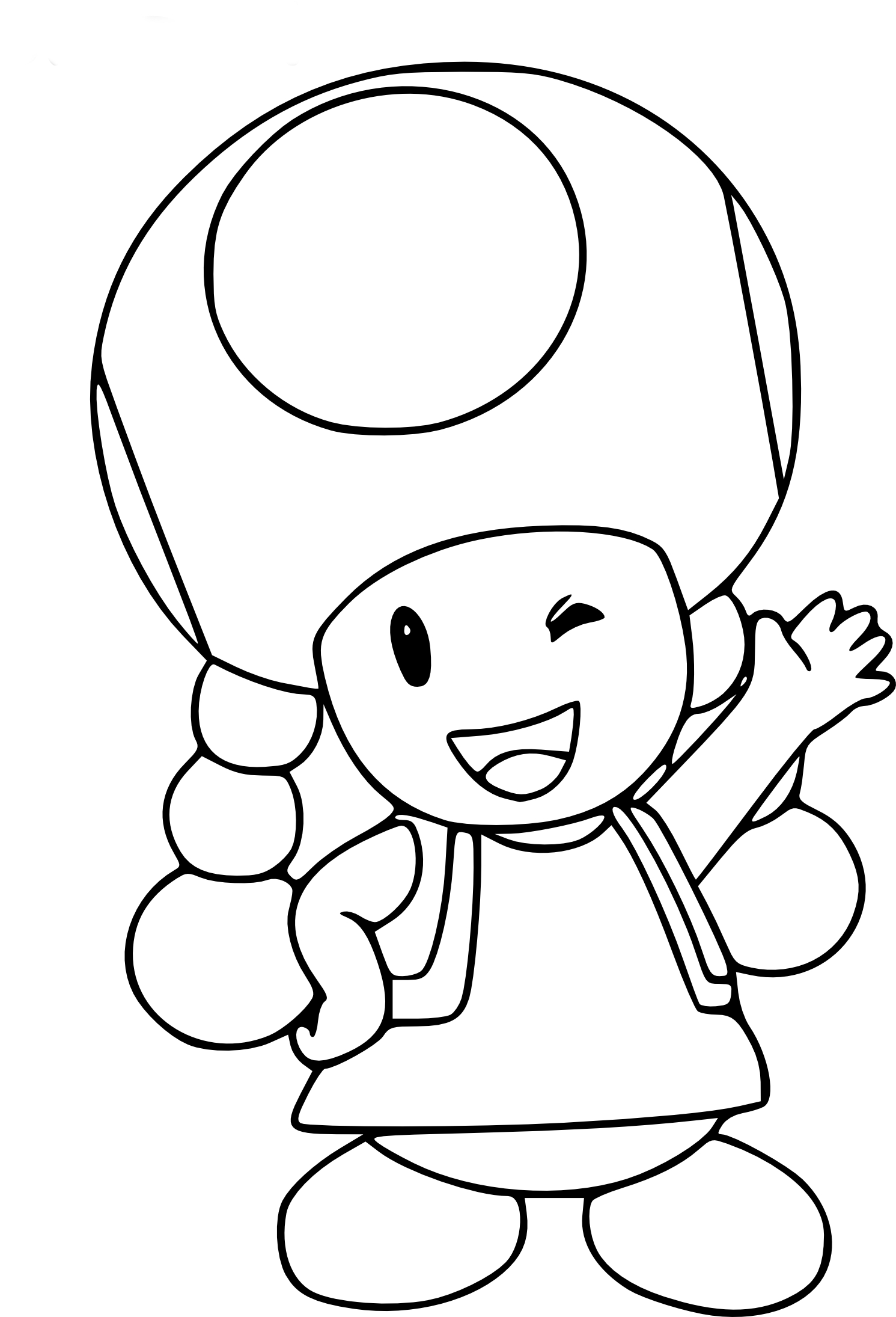 Disegno di Toadette Mario da colorare