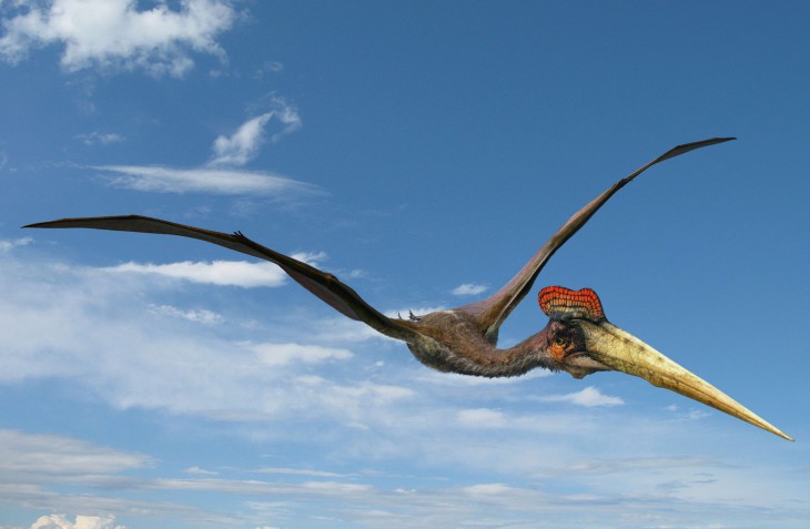 Flying Dinosaur