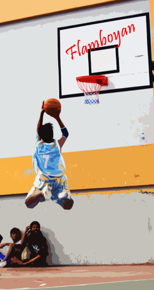 Dunk Basketball