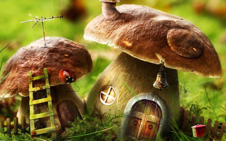 Of A Mushroom House