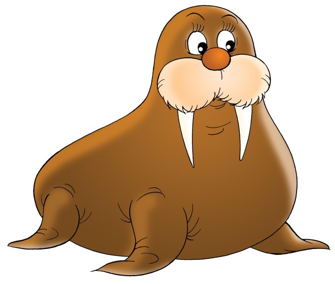 Walrus  2