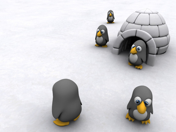 Penguin Next To An Igloo