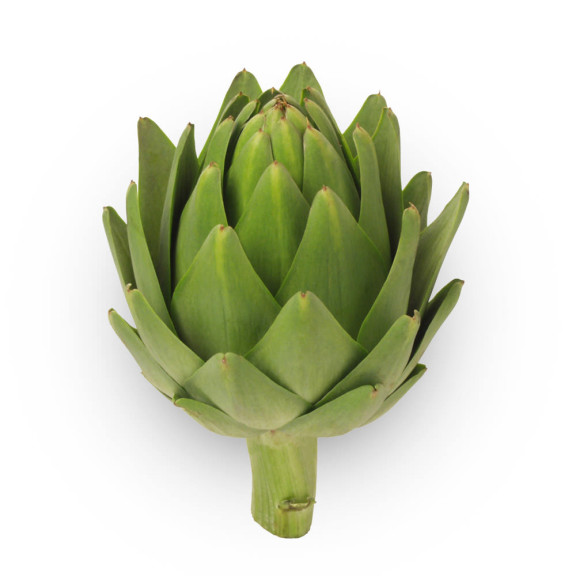 Artichoke