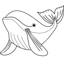 Free Whale coloring page