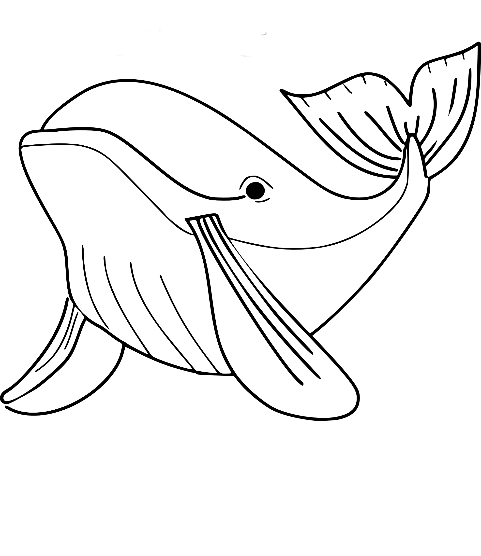 Free Whale coloring page