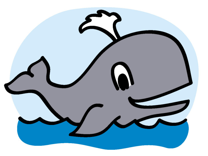 Free Whale drawing and