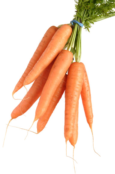 Free Carrot