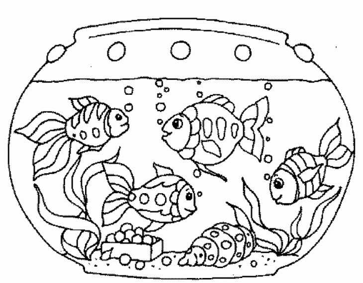 Disegno di Acquario domestico da colorare