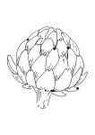 Artichoke coloring page