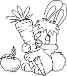 Coloriage bebe lapin