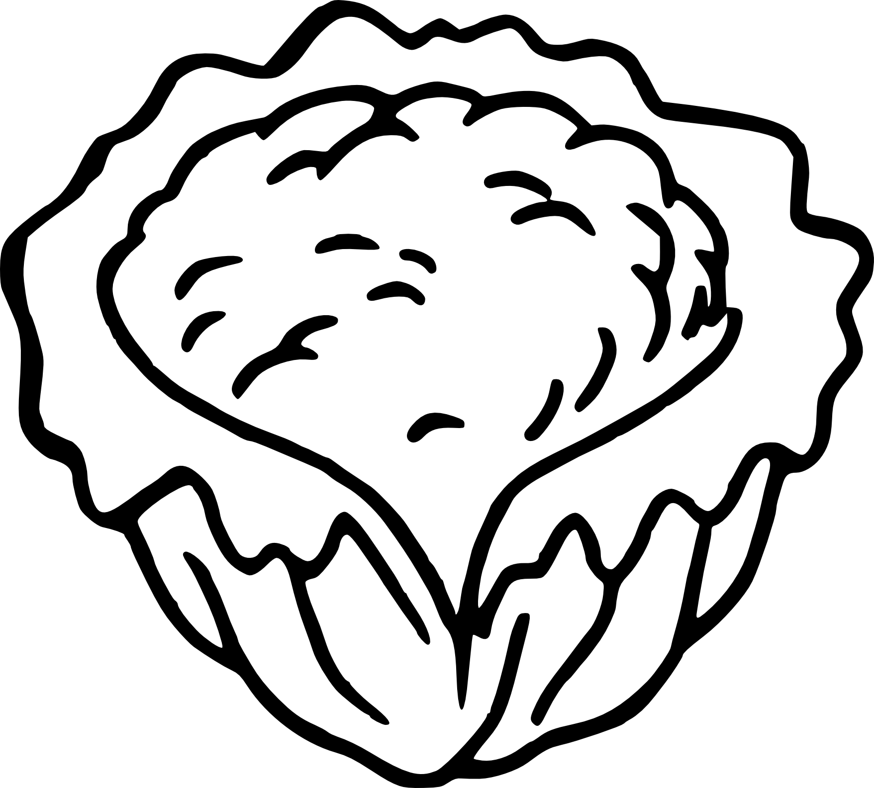 Cauliflower coloring page