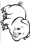 Pig coloring page