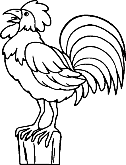 Disegno di Il gallo della fattoria da colorare