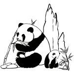 Disegno di Di Panda da colorare