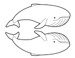 Two Whales coloring page