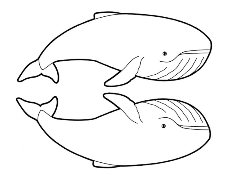 Disegno di Due balene da colorare